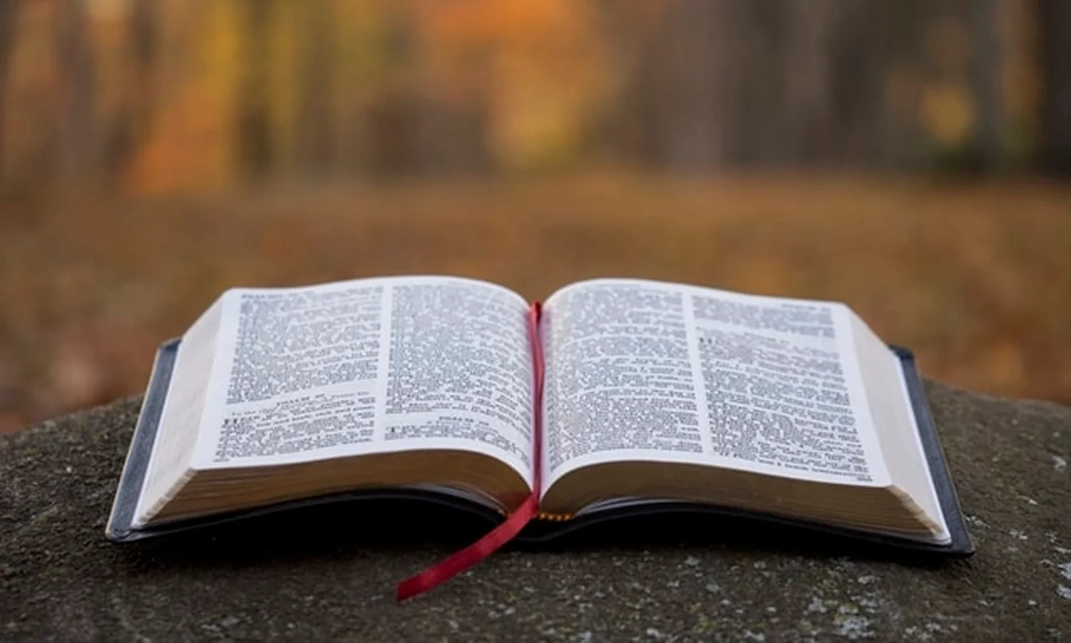 Ayat Alkitab yang Memotivasi dan Penuh Pengharapan
