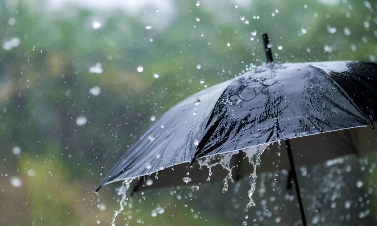 5 Proses Terjadinya Hujan, Lengkap dengan Jenis dan Dampaknya bagi Kehidupan di Bumi